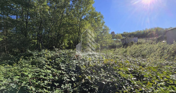 Teren Intravilan Cuied 3260 mp