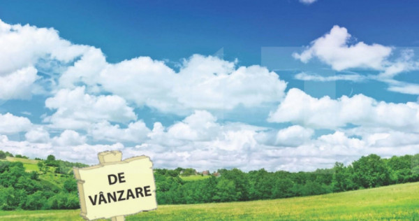 Teren 2.722 mp Moșnița Nouă – Șosea Principală