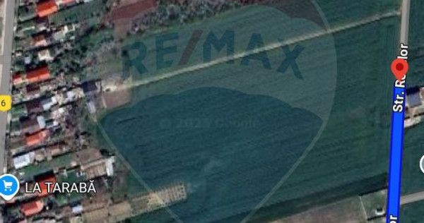 Teren intravilan 3,261mp Balotesti / Strada Rozelor