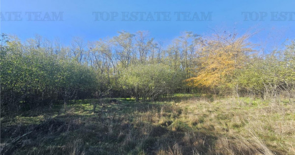 SUPER-PRET Teren 1ha intravilan intre A0, padure si raul Sab