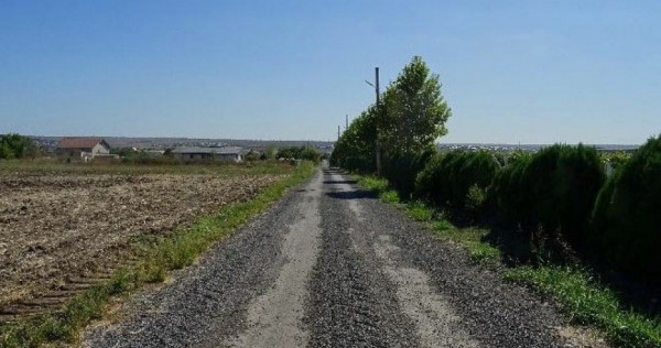 Teren intravilan Valu lui Traian, cota parte 3/48 ; ID: R...