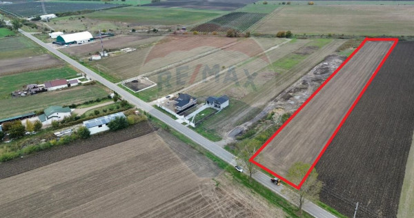 Teren intravilan 10869mp Mircestii Vechi / DJ 204E