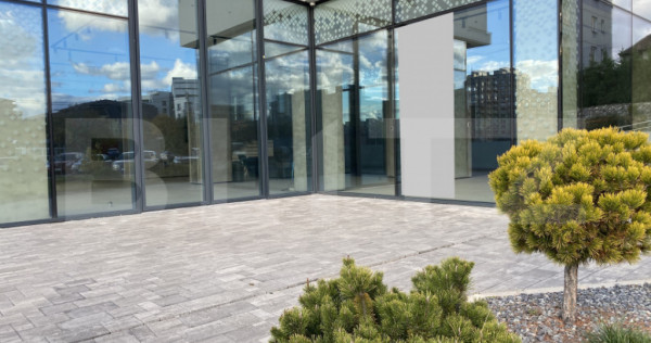 Spatiu comercial cu vad, 280 mp finisat, zona Iulius