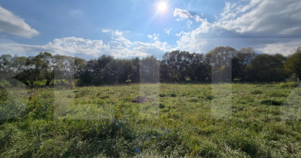 Teren intravilan 1200mp potrivit pentru o casuta de vacanta