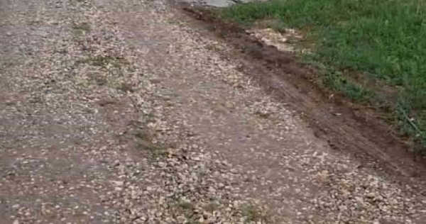 Teren intravilan comuna Berceni 305mp