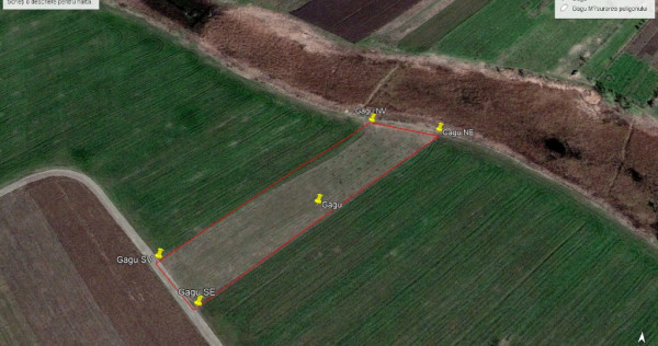Teren 5000 mp in Gagu, com Dascalu, ilfov