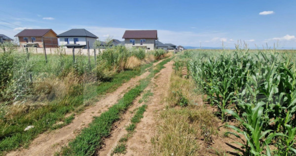 ???? Teren de vânzare, partial intravilan – Izvor, Tărlu