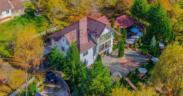 Pensiunea Scărișoara – Refugiul din Inima Rucărului ...