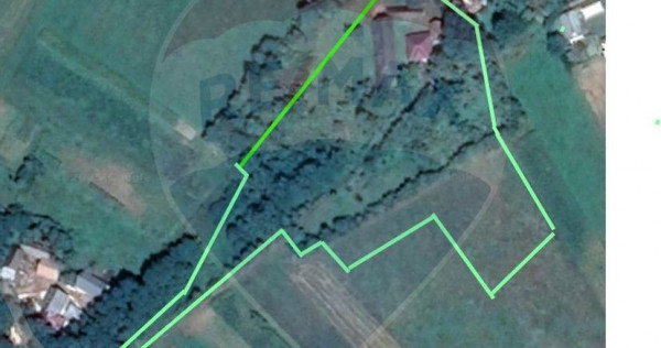 Teren de vanzare in Fratautii Noi / Strada Dealului