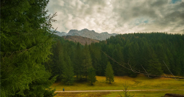 Teren intravilan panoramic 4.600mp,view iconic Piatra Craiul