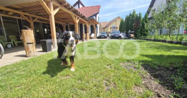 Casa individuala 4 camere cu teren generos si terasa inchisa