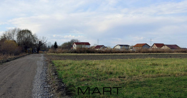 Teren Extravilan 15.000 mp Prejmer