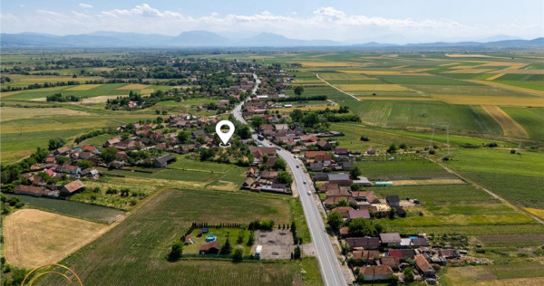 FILM! 2.700mp teren cu casa personalizabila, pomi fructiferi