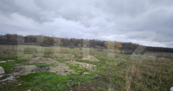 Teren intravilan, Dragutesti, 1184 mp