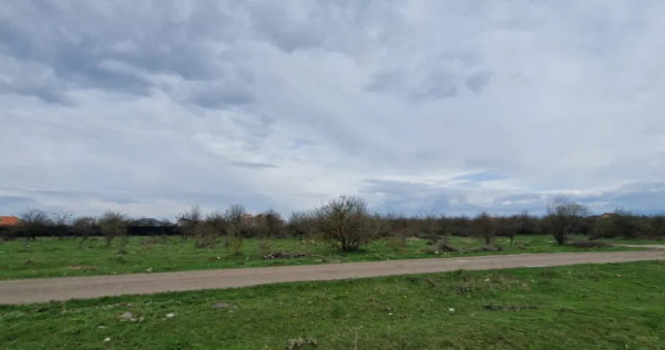 Teren Intravilan 533 mp Sanpetru