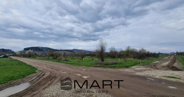 Teren Intravilan 533 mp Sanpetru