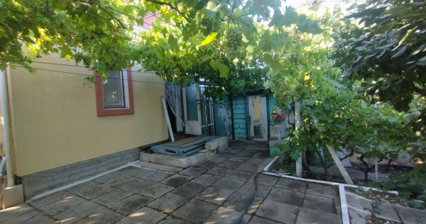 Casă, gradină, teren mare - Palazu Mare