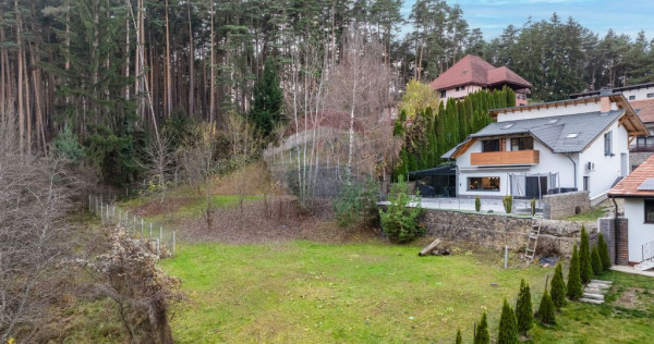 Vila moderna cu vedere spre padure Poiana Angelescu