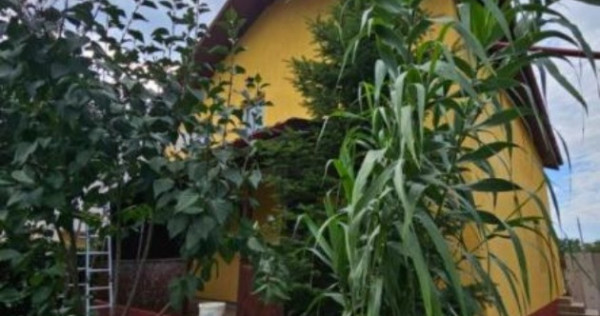 Bragadiru - casa de vanzare, 4 camere