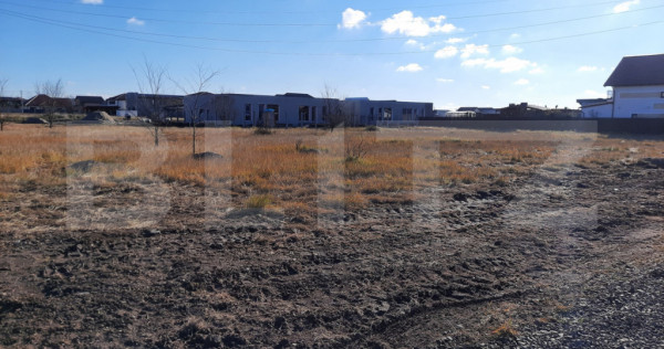 Teren intravilan, constructii, 773 mp, Sacalaz-Timisoara!