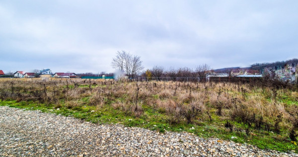 Teren intravilan Smeura Arges