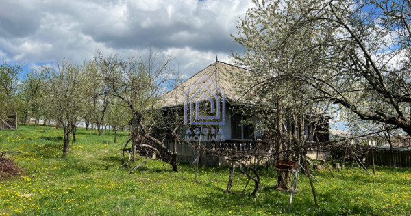 48 ari teren , cu casa batraneasca, Antoceni, Forasti, Sucea