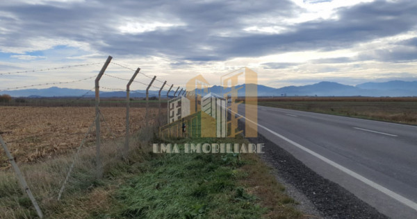 Teren intravilan industrial DN 13 Calea Feldioarei Brasov