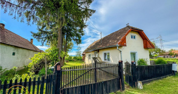 FILM! Casa pitoreasca anexe 1.500mp teren, Santionlunca,