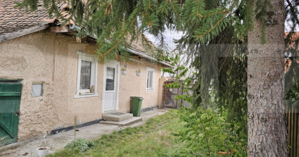 Casă țărănească în centrul localității Ilieni – te