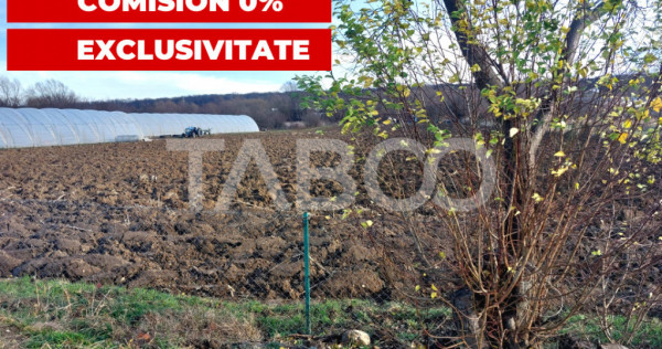 Teren intravilan 1687 mp pentru cabana zona de gradini Cisna