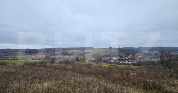 Teren intravilan 4756 mp de vanzare in Livezeni