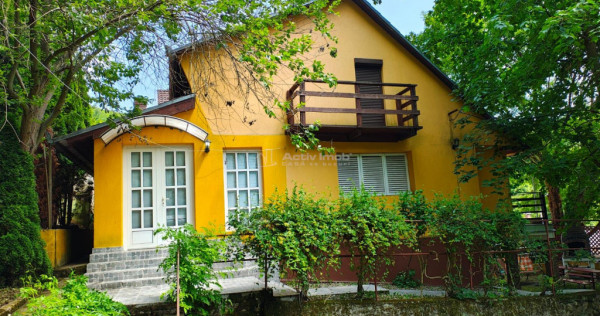 Cabana ta de vis #238;n inima naturii – Padurea Neagra ...