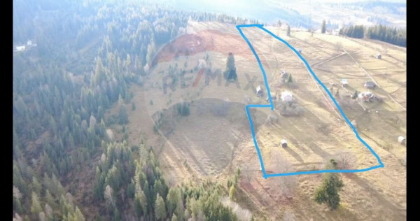 Teren INTRAVILAN 23.238m.p. Dorna-Arini / Cozănești