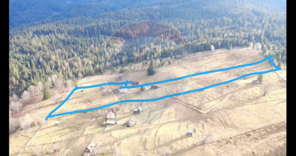 Teren INTRAVILAN 23.238m.p. Dorna-Arini / Cozănești
