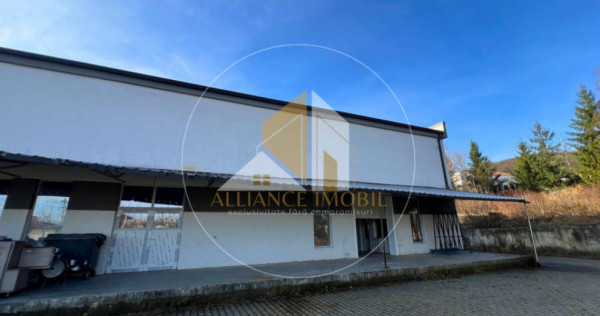 Spațiu industrial cu utilizare mixtă(producție ,depozit,