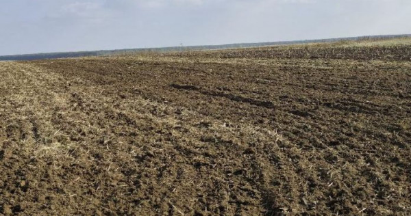 Teren extravilan Varvoru de Jos, jud Dolj