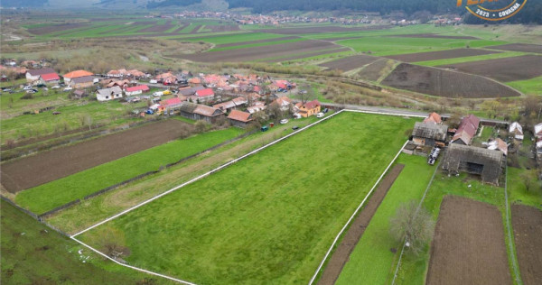 FILM!Potential rezidential investitional: 8.000 mp intravil