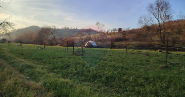 COMISION 0% Teren intravilan de vanzare in Barsana (26 ARI)