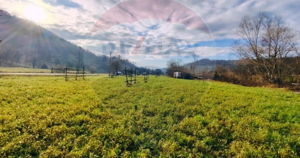 COMISION 0% Teren intravilan de vanzare in Barsana (26 ARI)