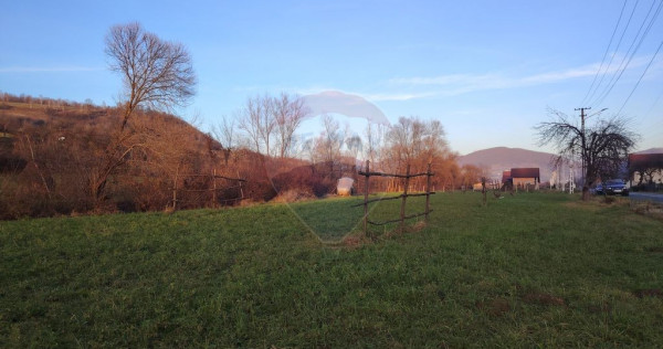 COMISION 0% Teren intravilan de vanzare in Barsana (26 ARI)