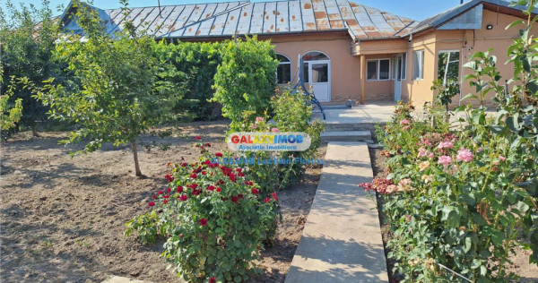 Casa, curte proprie, garaj I Balaceanca
