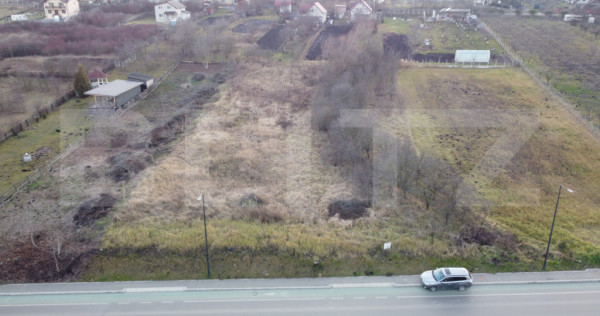 Teren de vanzare - Valea Chintaului