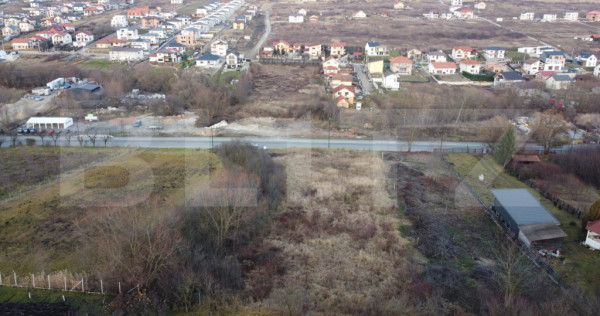 Teren de vanzare - Valea Chintaului