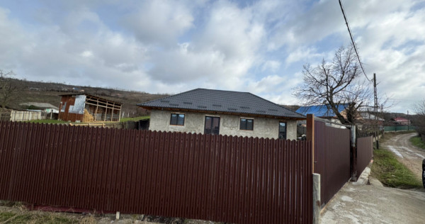 Casa la sat Halaresti, Vaslui