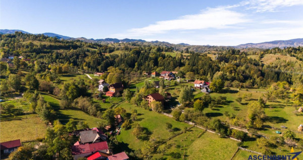 FILM! Edificu remarcabil, deschidere oportunitate de customi