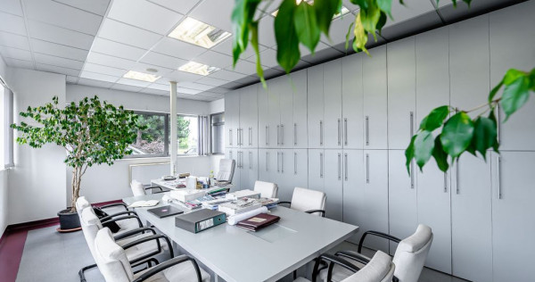 Hală de producție și depozitare cu birouri &icirc;n Arad