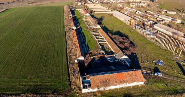 Ferma 11.5 HA l&acirc;ngă DN7 & Autostrada E68 &ndash; Nădlac | ...