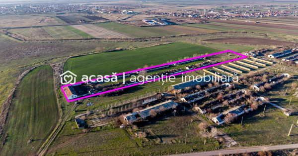 Ferma 1.15 HA l&acirc;ngă DN7 & Autostrada E68 &ndash; Nădlac | ...