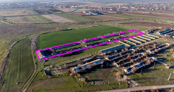 PREȚ REDUS! Ferma de 1.15 HA l&acirc;ngă accesul pe Autostrada A1&ndash; Nădlac