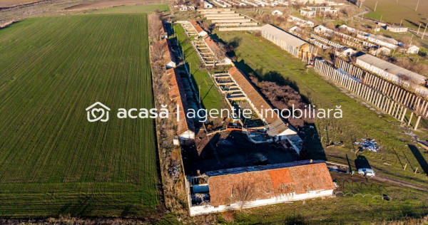 Teren 1.15 HA l&acirc;ngă Autostrada &ndash; Nădlac | clădiri+u...